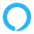 Alexa icon